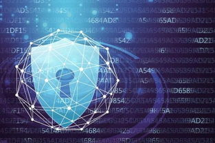 網貸系統等級保護備案與網絡信息安全軟件開發